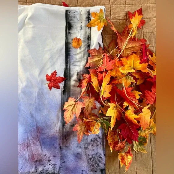 Frozen II backdrop - Picture 5 of 8